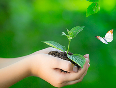 recent-project-img-3