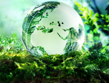 recent-project-img-4