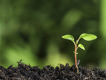 recent-project-img-5